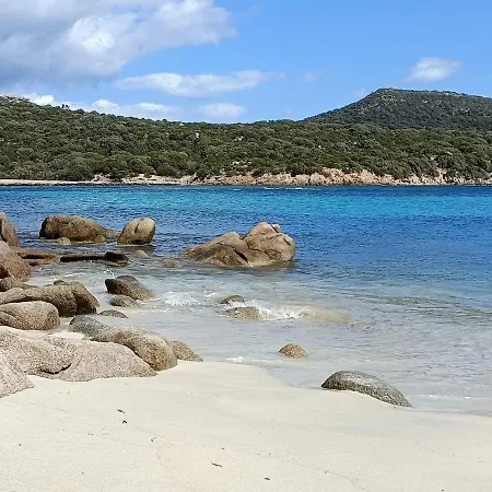 Апартаменты Appt Neuf 2-4 Pers Avec Loggia - Piscine Chauffee - Bord De - Corse Du Sud- Bonifacio *