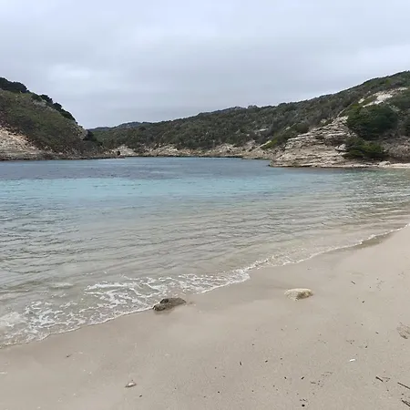 Апартаменты Appt Neuf 2-4 Pers Avec Loggia - Piscine Chauffee - Bord De - Corse Du Sud- Bonifacio Пьяноттоли-Кальдарелло