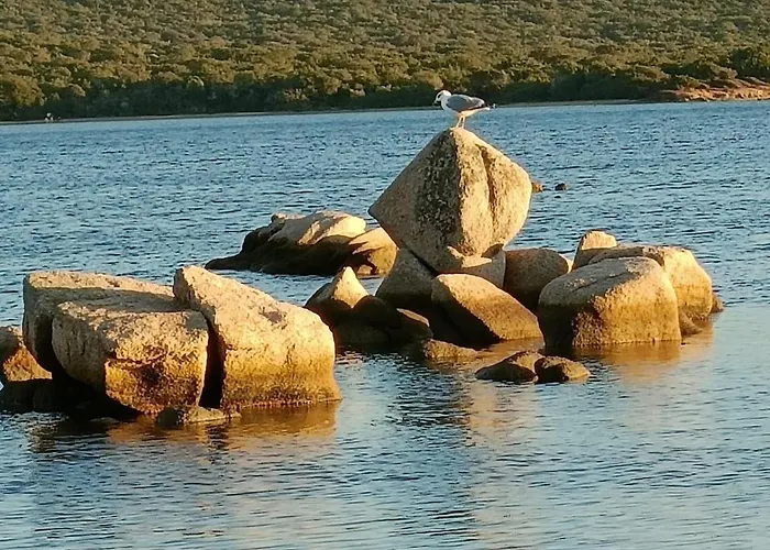 Apartman Appt Neuf 2-4 Pers Avec Loggia - Piscine Chauffee - Bord De - Corse Du Sud- Bonifacio Pianottoli-Caldarello