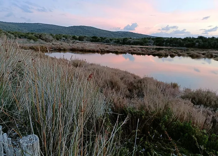 Apartman Appt Neuf 2-4 Pers Avec Loggia - Piscine Chauffee - Bord De - Corse Du Sud- Bonifacio *