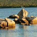 Apartmán Appt Neuf 2-4 Pers Avec Loggia - Piscine Chauffee - Bord De - Corse Du Sud- Bonifacio Pianottoli-Caldarello (Corsica)