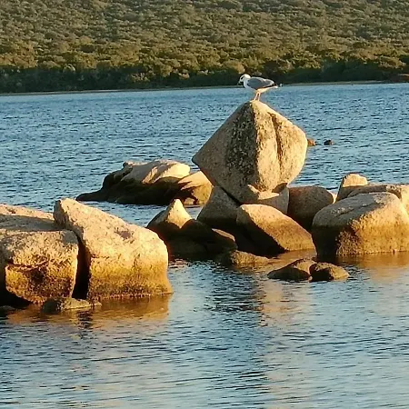 아파트 Appt Neuf 2-4 Pers Avec Loggia - Piscine Chauffee - Bord De - Corse Du Sud- Bonifacio 피아노톨리-카르다렐로