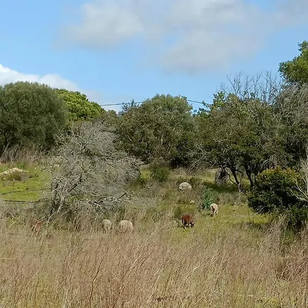 Appt Neuf 2-4 Pers Avec Loggia - Piscine Chauffee - Bord De - Corse Du Sud- Bonifacio *