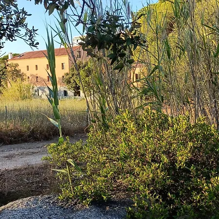 Appt Neuf 2-4 Pers Avec Loggia - Piscine Chauffee - Bord De - Corse Du Sud- Bonifacio *