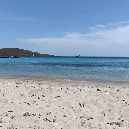 Appt Neuf 2-4 Pers Avec Loggia - Piscine Chauffee - Bord De - Corse Du Sud- Bonifacio 아파트