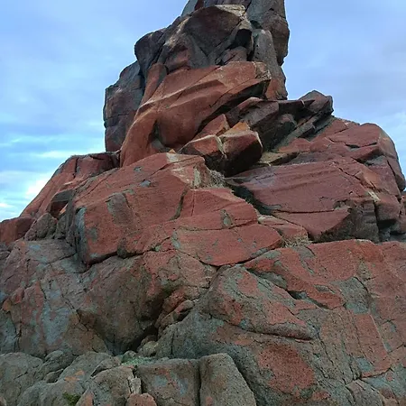 아파트 Appt Neuf 2-4 Pers Avec Loggia - Piscine Chauffee - Bord De - Corse Du Sud- Bonifacio