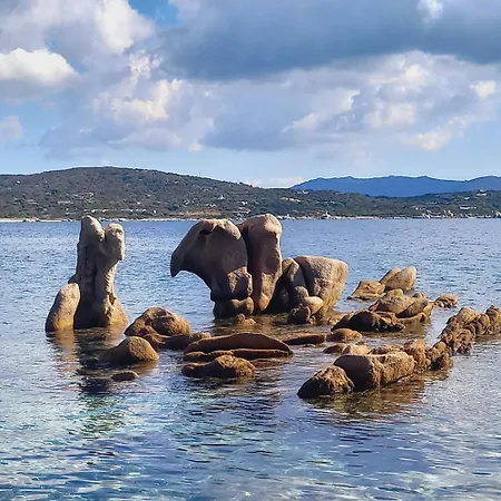 Appt Neuf 2-4 Pers Avec Loggia - Piscine Chauffee - Bord De - Corse Du Sud- Bonifacio 아파트
