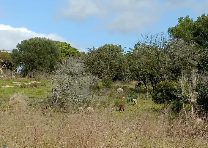 Appt Neuf 2-4 Pers Avec Loggia - Piscine Chauffee - Bord De - Corse Du Sud- Bonifacio *