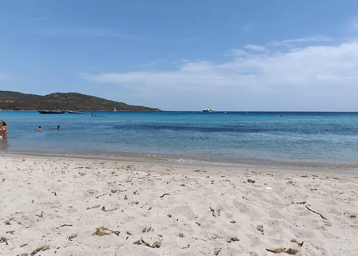 Appt Neuf 2-4 Pers Avec Loggia - Piscine Chauffee - Bord De - Corse Du Sud- Bonifacio アパート