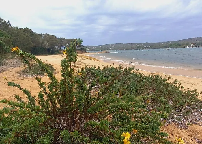 Appt Neuf 2-4 Pers Avec Loggia - Piscine Chauffee - Bord De - Corse Du Sud- Bonifacio アパート