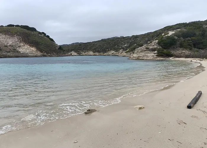 アパート Appt Neuf 2-4 Pers Avec Loggia - Piscine Chauffee - Bord De - Corse Du Sud- Bonifacio ピアノトリ・カルダレロ
