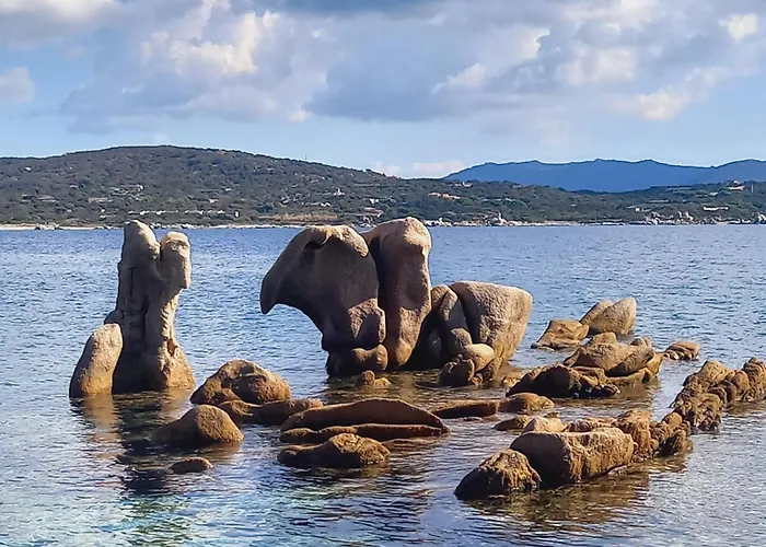 Appt Neuf 2-4 Pers Avec Loggia - Piscine Chauffee - Bord De - Corse Du Sud- Bonifacio アパート